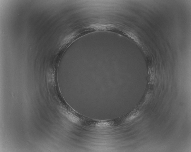 X0000060790357200511101424