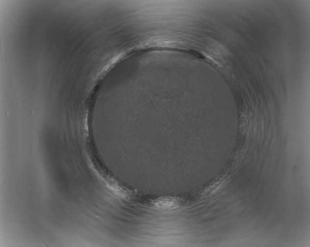 X0000060790358200511101424