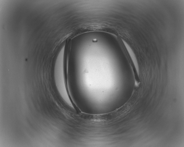 X0000060790360200511101424