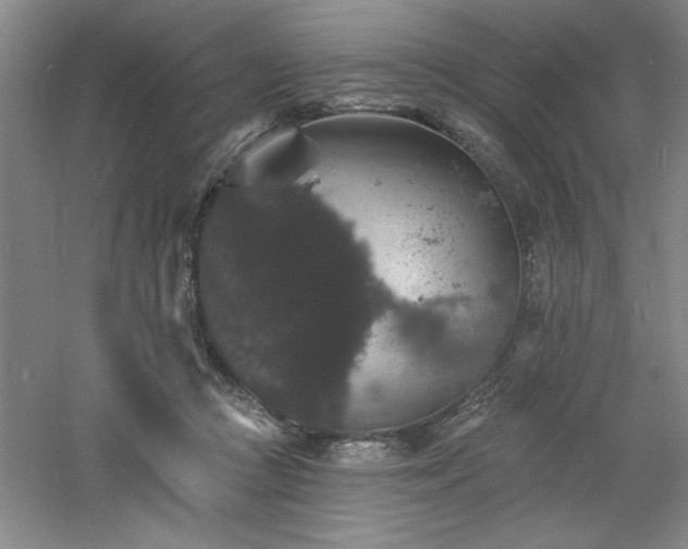 X0000060790361200511101424