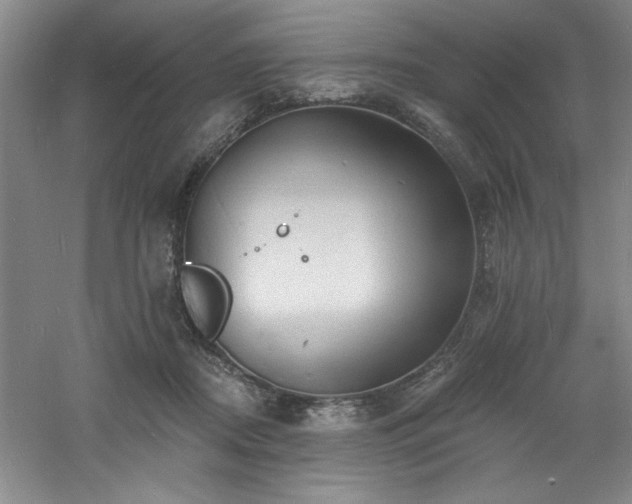 X0000060790362200511101425