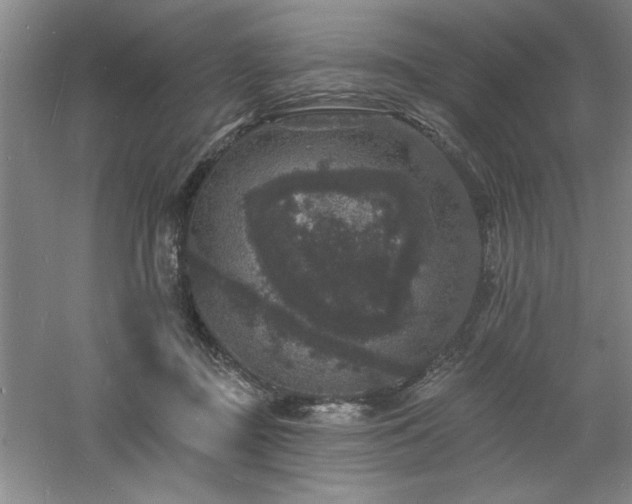 X0000060790363200511101425