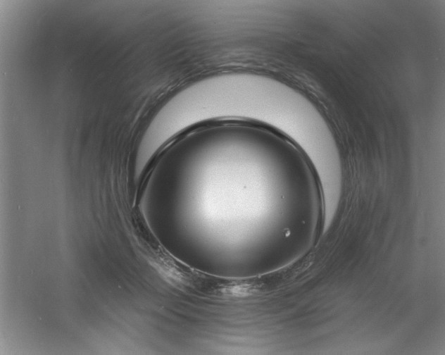 X0000060790365200511101425