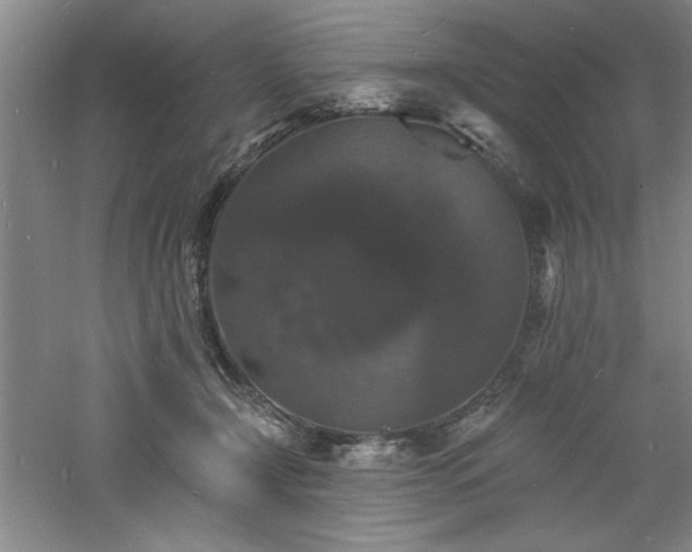 X0000060790366200511101425