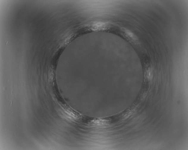 X0000060790367200511101425