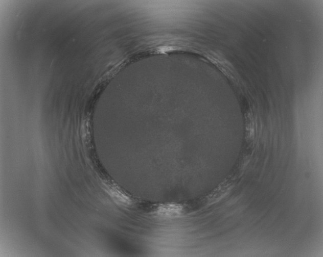 X0000060790369200511101425