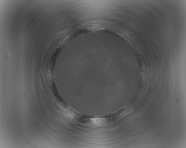 X0000060790371200511101425