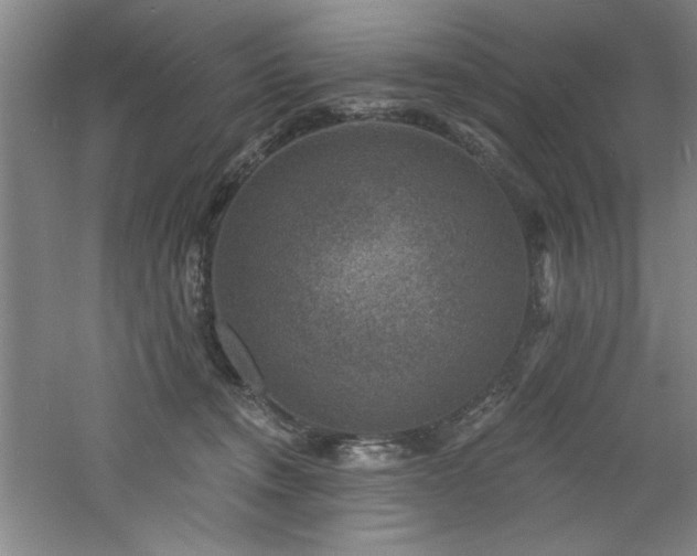 X0000060790372200511101425