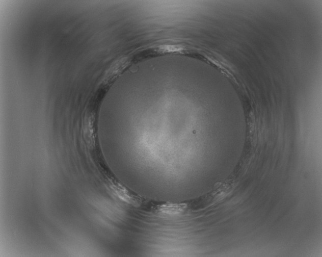 X0000060790373200511101425