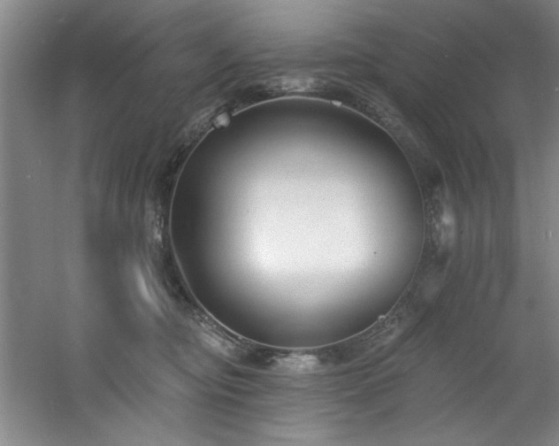 X0000060790374200511101425