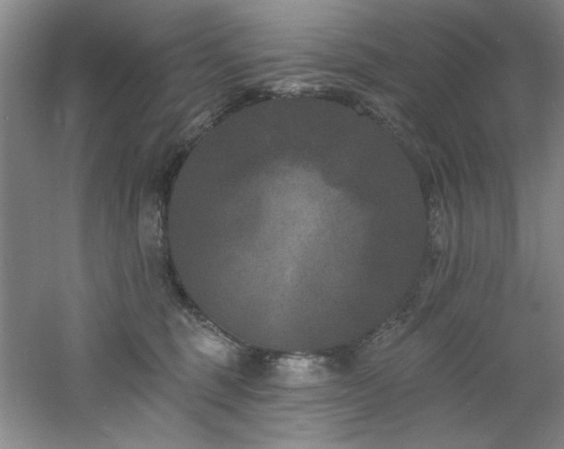 X0000060790375200511101425