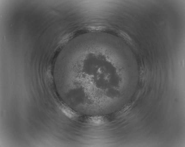 X0000060790377200511101425