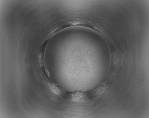 X0000060790378200511101425