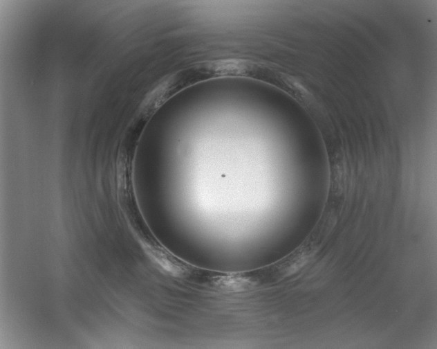 X0000060790379200511101425