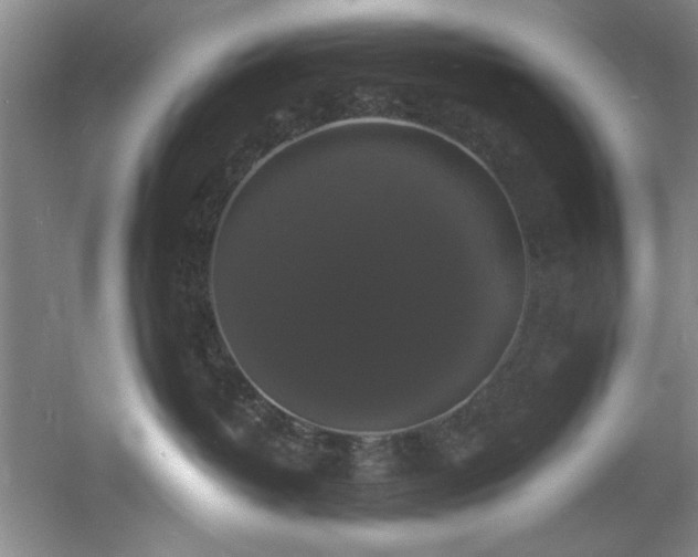 X0000060790382200511101425