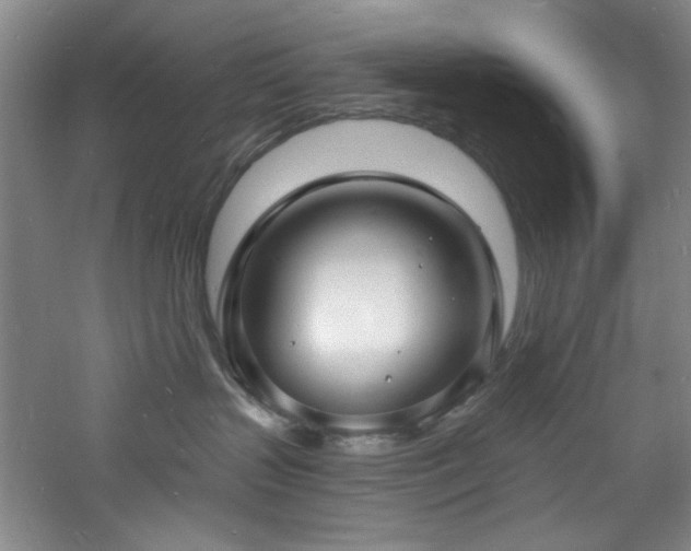 X0000060790383200511101425