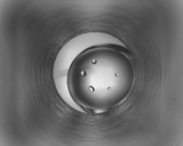 X0000060790384200511101425