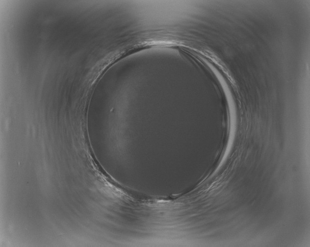 X0000060790385200511101424