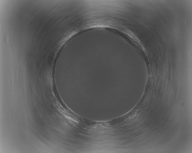 X0000060790386200511101424