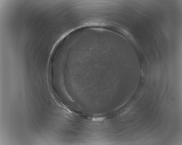 X0000060790388200511101424