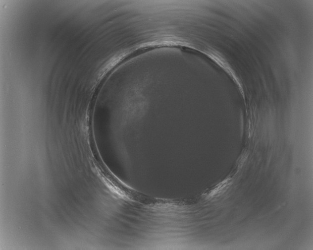 X0000060790389200511101424