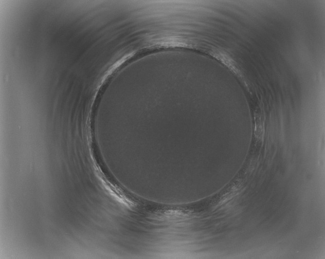 X0000060790390200511101424