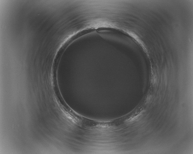 X0000060790391200511101424