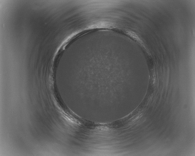 X0000060790392200511101424