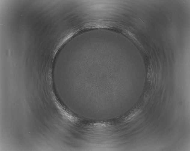 X0000060790394200511101424