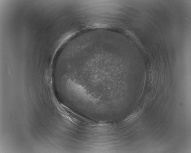 X0000060790395200511101424