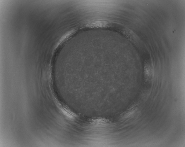 X0000060790396200511101424