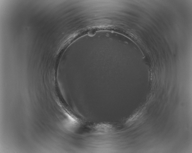 X0000060790397200511101424