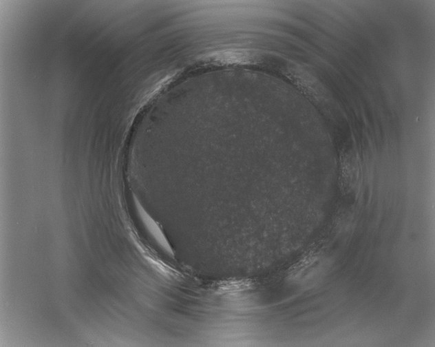 X0000060790398200511101424