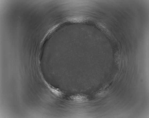 X0000060790400200511101424