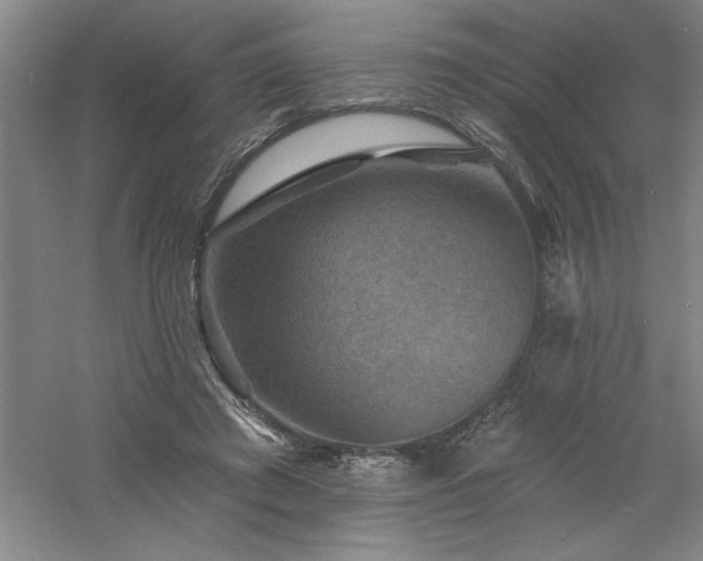 X0000060790401200511101424