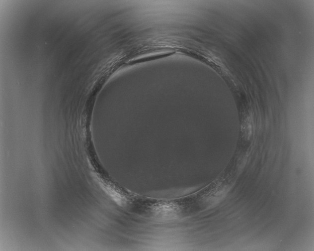 X0000060790402200511101424