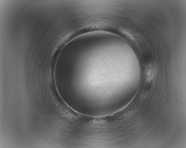 X0000060790403200511101424