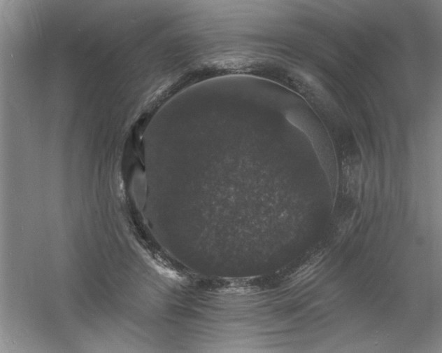 X0000060790404200511101424