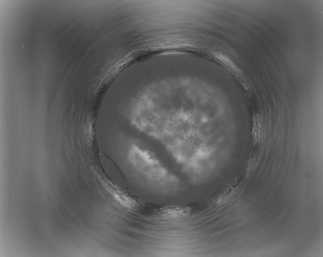 X0000060790405200511101424