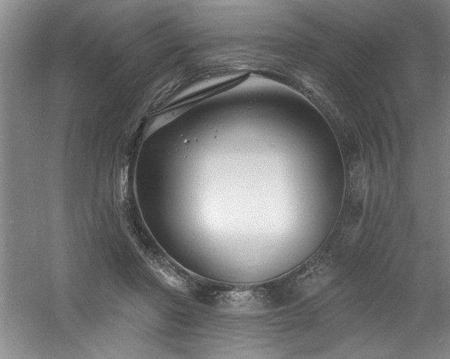 X0000060790406200511101424