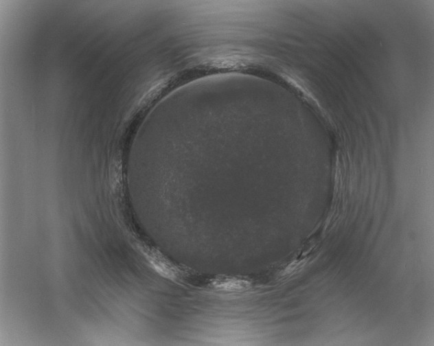 X0000060790407200511101424