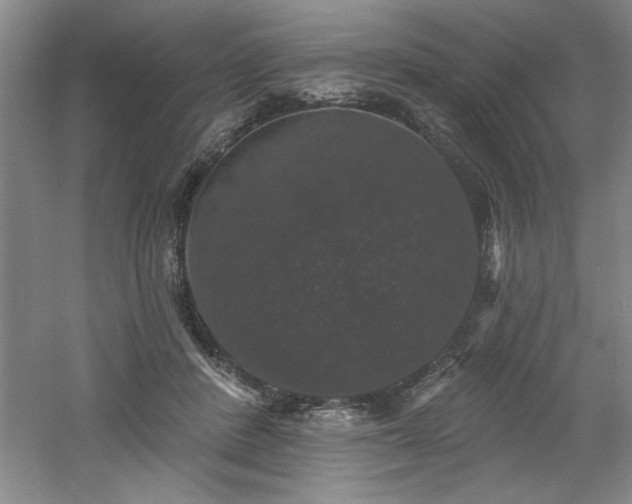 X0000060790408200511101424