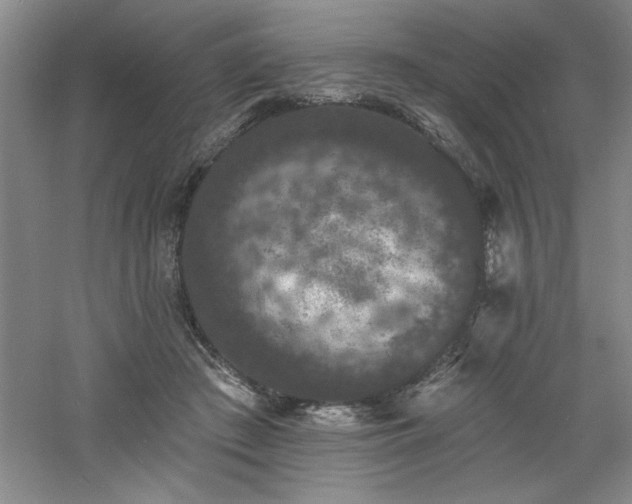 X0000060790409200511101424