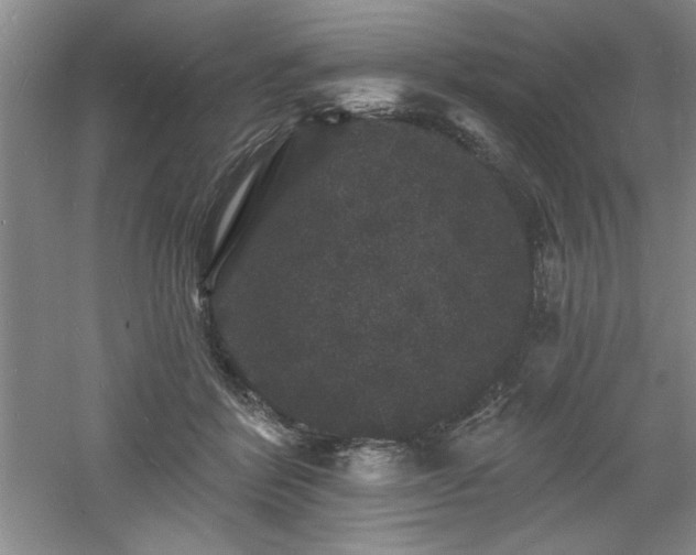 X0000060790412200511101424