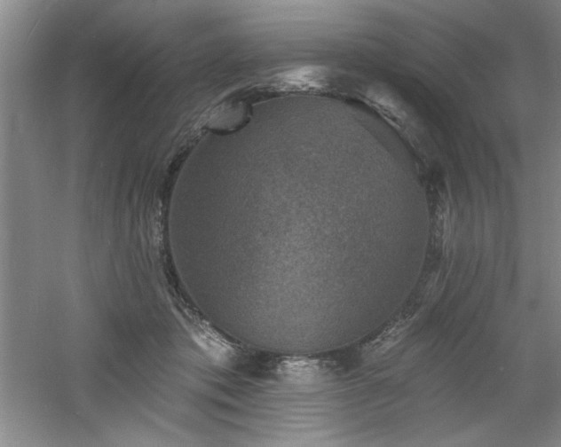 X0000060790413200511101424