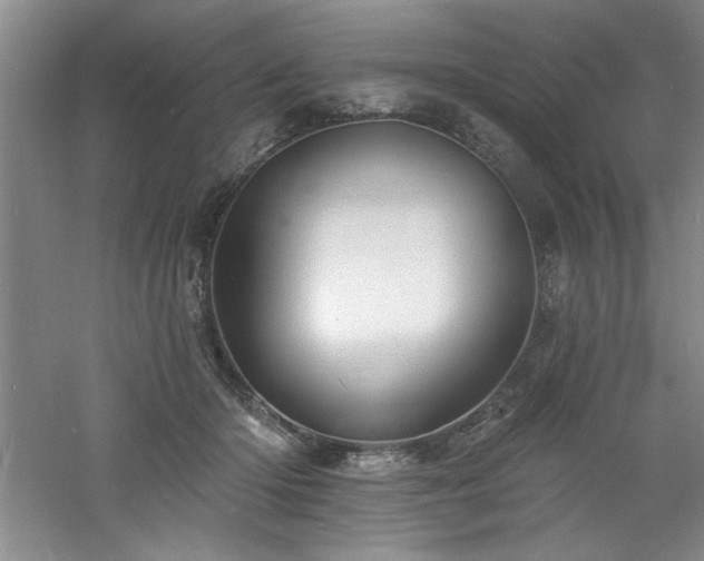 X0000060790414200511101424