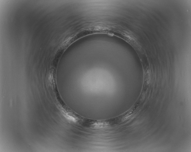 X0000060790415200511101424