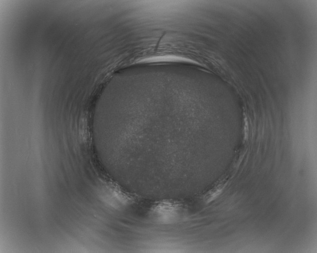 X0000060790416200511101424