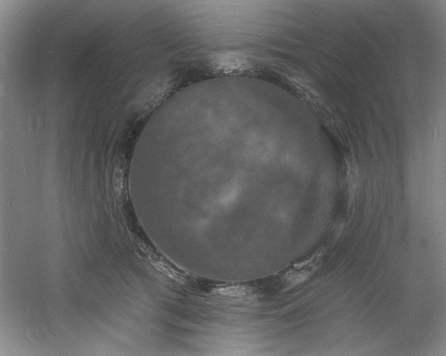 X0000060790417200511101424