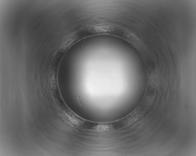 X0000060790418200511101423